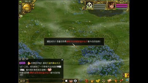 问道手游怎么捕捉宝宝[图2]