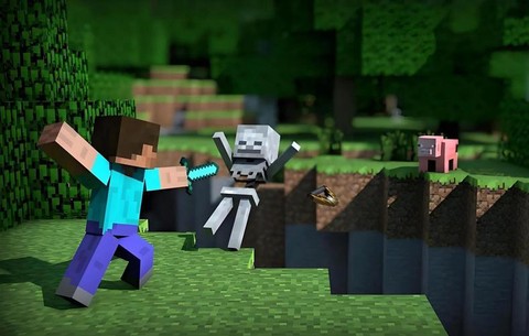 我的世界玩的是什么