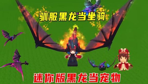 怎么驯服龙迷你世界[图1]